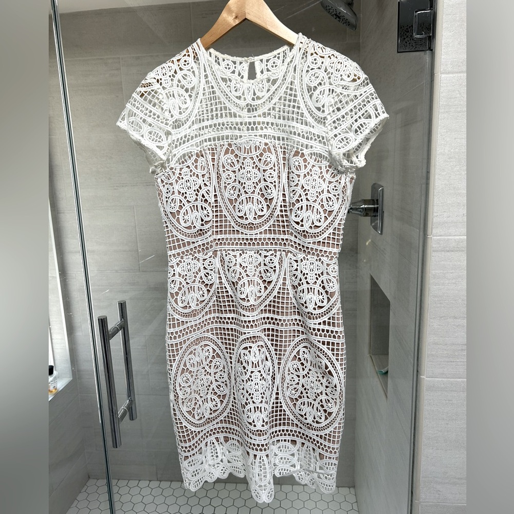 Aijek Blackjack Embroidered Mini Dress, size 2 (medium)
